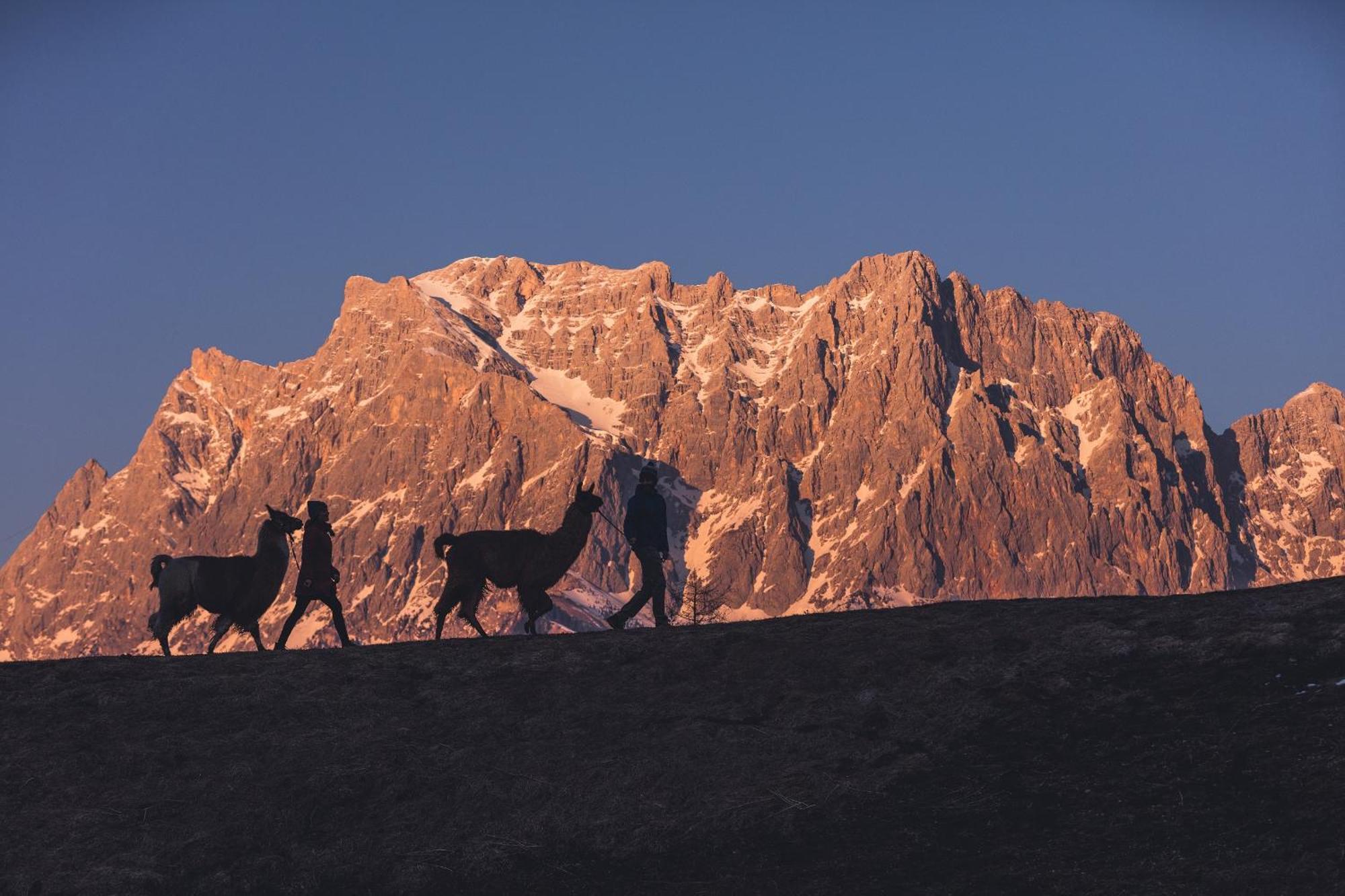 Appartement Gipfelblick- Tiroler Zugspitze Arena In Biberwier Εξωτερικό φωτογραφία